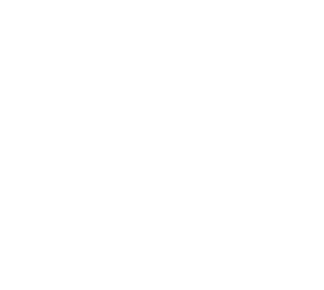 Lingaya's Vidyapeeth Placements logo