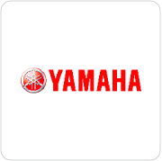 Lingaya's Vidyapeeth Placements logo