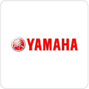 Lingaya's Vidyapeeth Placements logo
