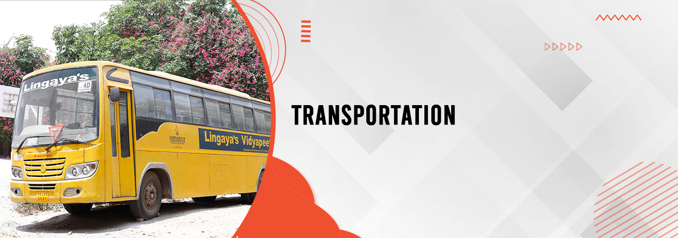 Transportation web