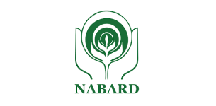 Lingaya's Vidyapeeth Placements logo
