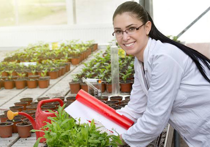 A Complete Insight About the BSc Agriculture Subjects