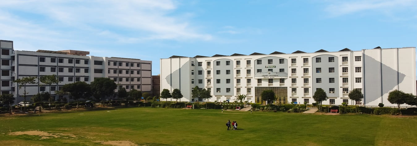 Colleges For Bba In Faridabad/Delhi NCR