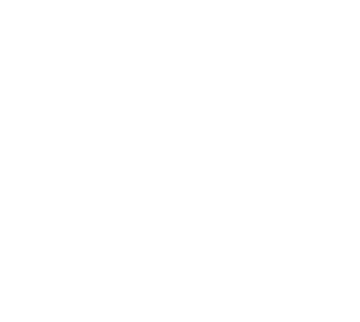 Lingaya's logo new orlance