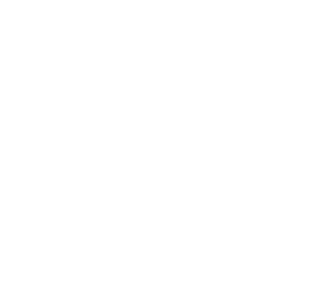 Lingaya's thomas more university