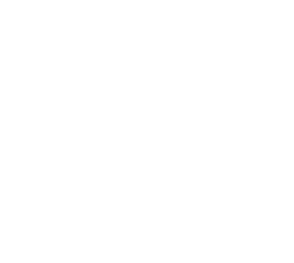 Thomas More University