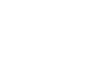 Webster University