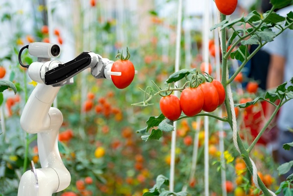Transforming Agriculture with Artificial Intelligence: Cultivating of Smart Future