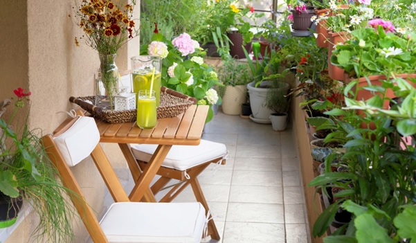 Green Haven in the Urban Jungle: Exploring the Wonders of Balcony Gardening
