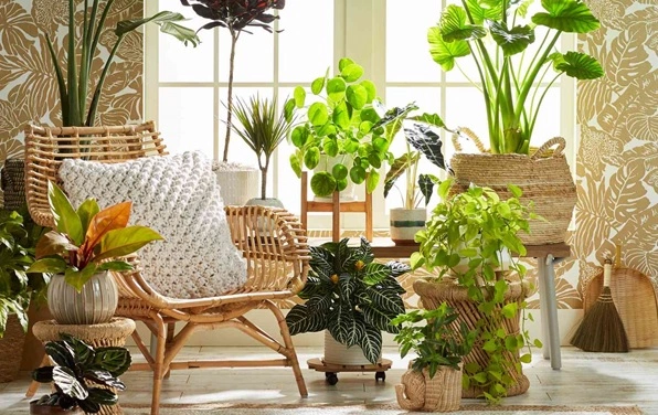 Greens Indoors: The Art and Benefits of Indoor Gardening