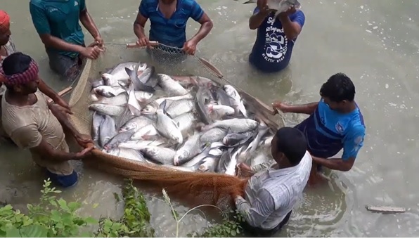 Navigating the world of fisheries: Sustaining oceans and livelihoods