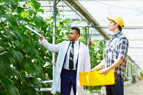 School of Agriculture