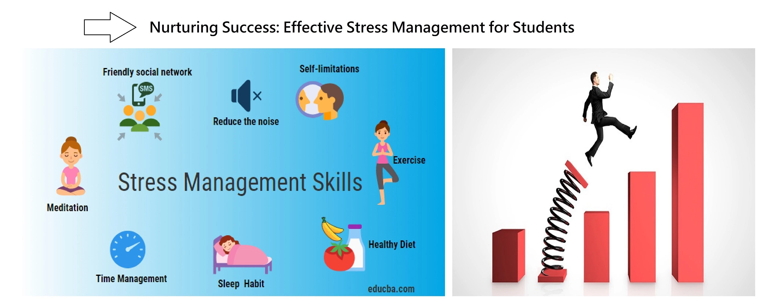 Nurturing Success: Effective Stress Management for Students