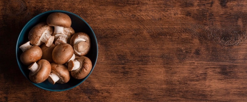 Mushroom: Best supplement for health