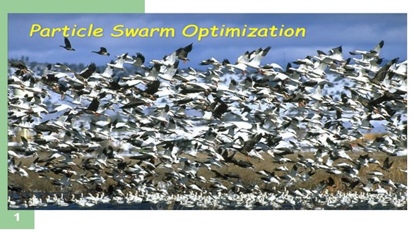 PARTICLE SWARM OPTIMIZATION AND IT’S APPLICATIONS