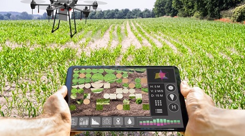 Revolutionizing Agriculture: The power of precision farming