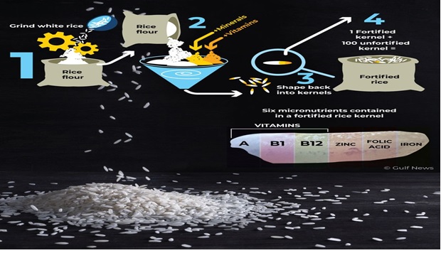 The fortification of whole grain rice as a potential remedy for micronutrient deficiency