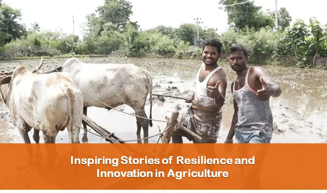 Meet the Farmers: Stories of Resilience and Innovation