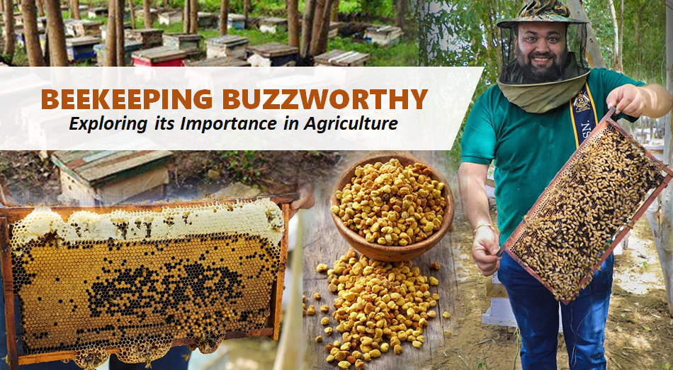 Why is Beekeeping a Hot Topic in Agriculture? Exploring its Relevance