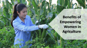 Benefits of Empowering women in Agriculture