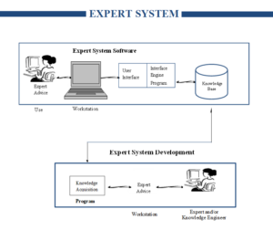 Expert system