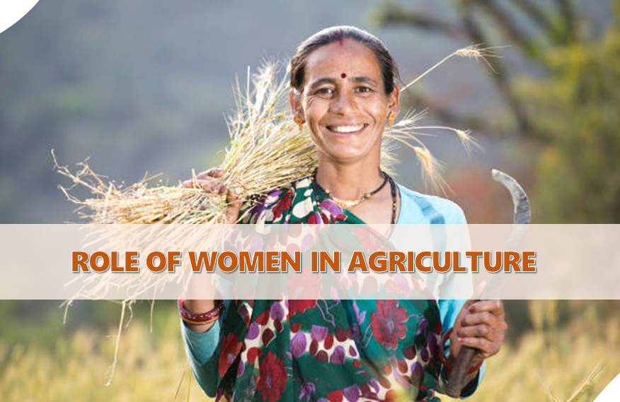 The Role of Women in Agriculture: Breaking Barriers