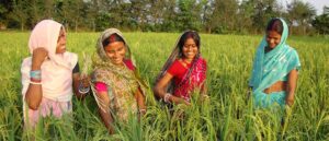 women in agriculture