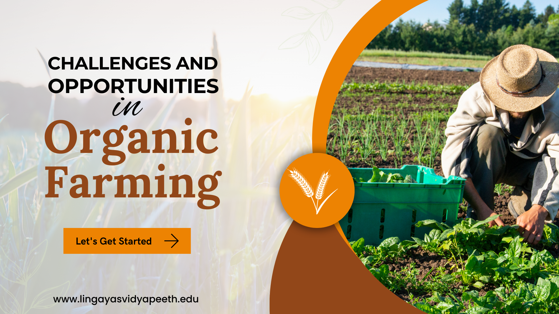 What are the Challenges and Opportunities in Organic Farming?