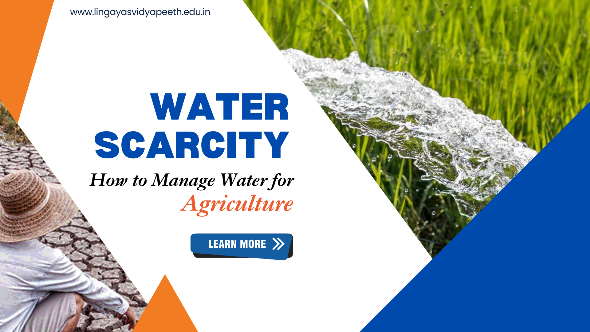 Water Scarcity in Agriculture: How to Manage it?