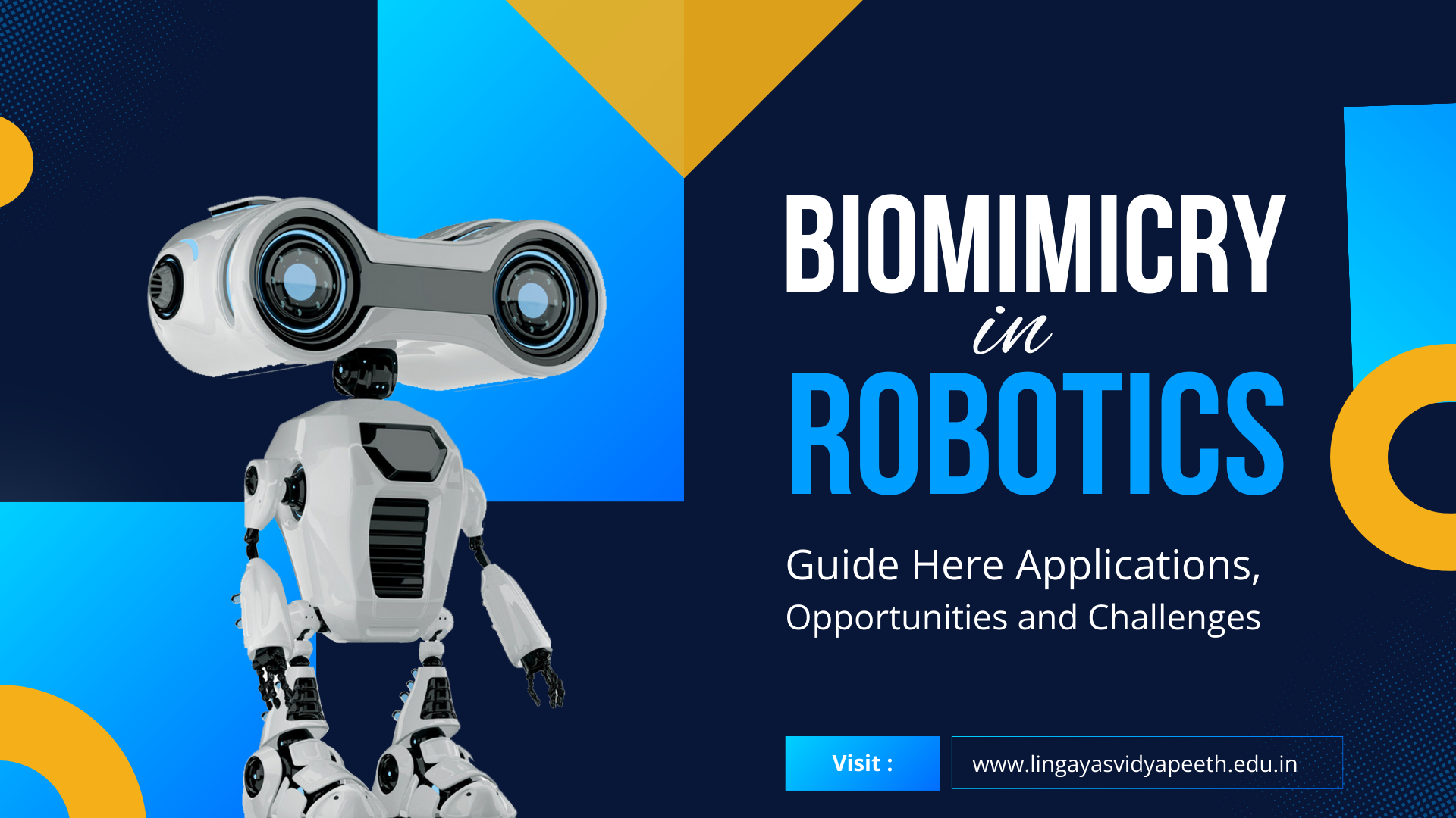 Biomimicry Changes the Future of Robotics – Guide Here!